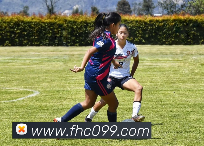 体育赛事直播